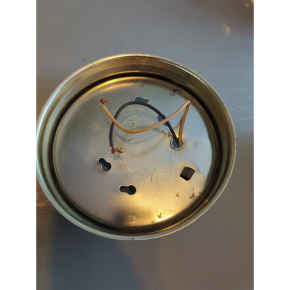 Ceiling Wall Light Fixture Dome Glass White Brown Roses Floral Vintage Country - Picture 7 of 11